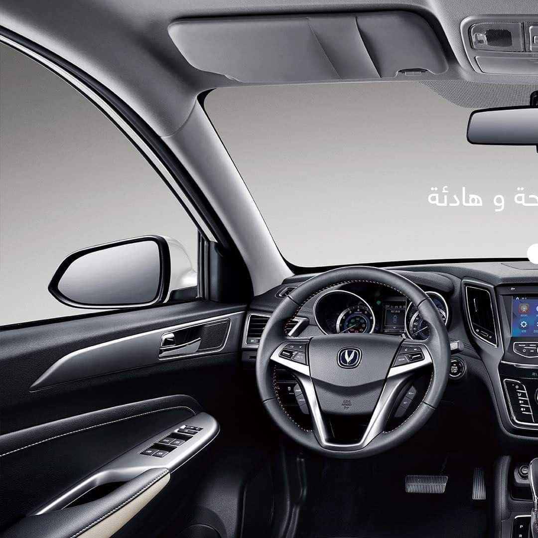 Changan Auto (image 26)