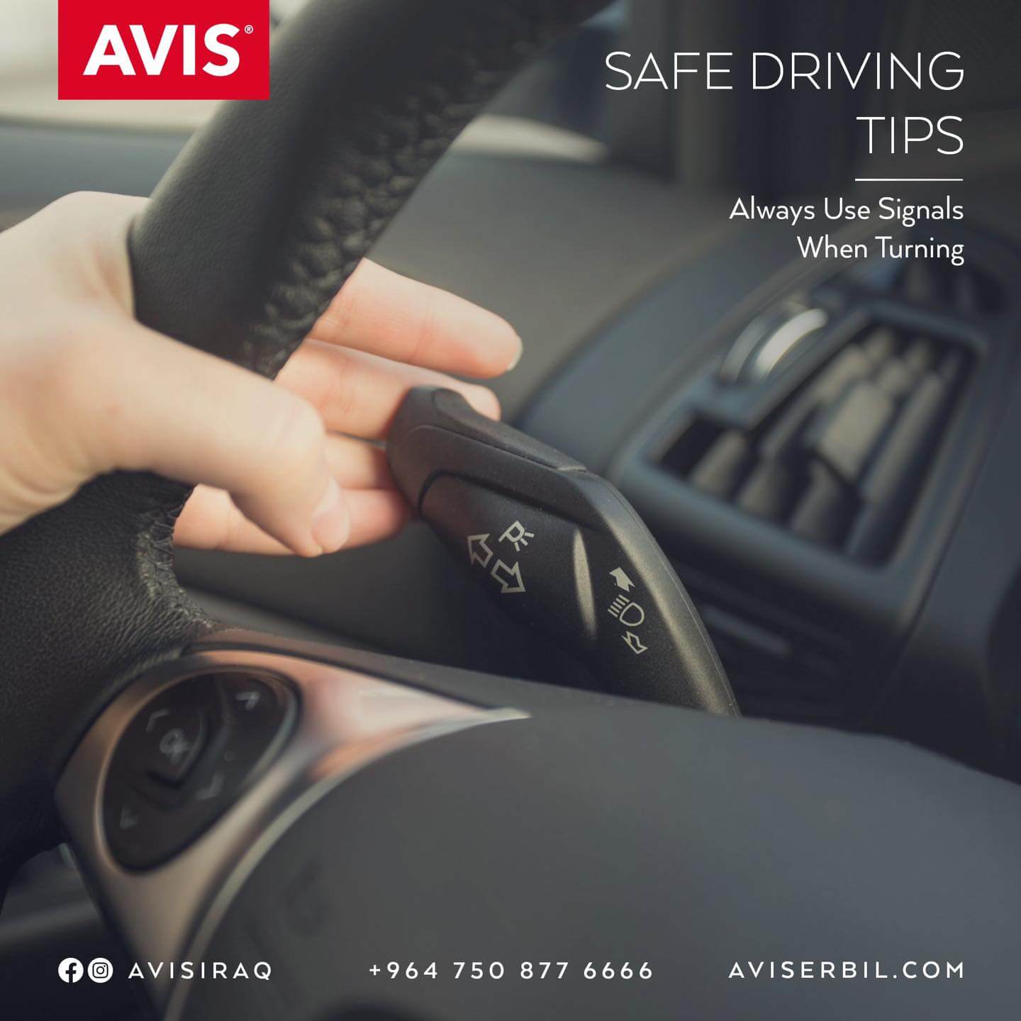 Avis Car Rental (image 29)