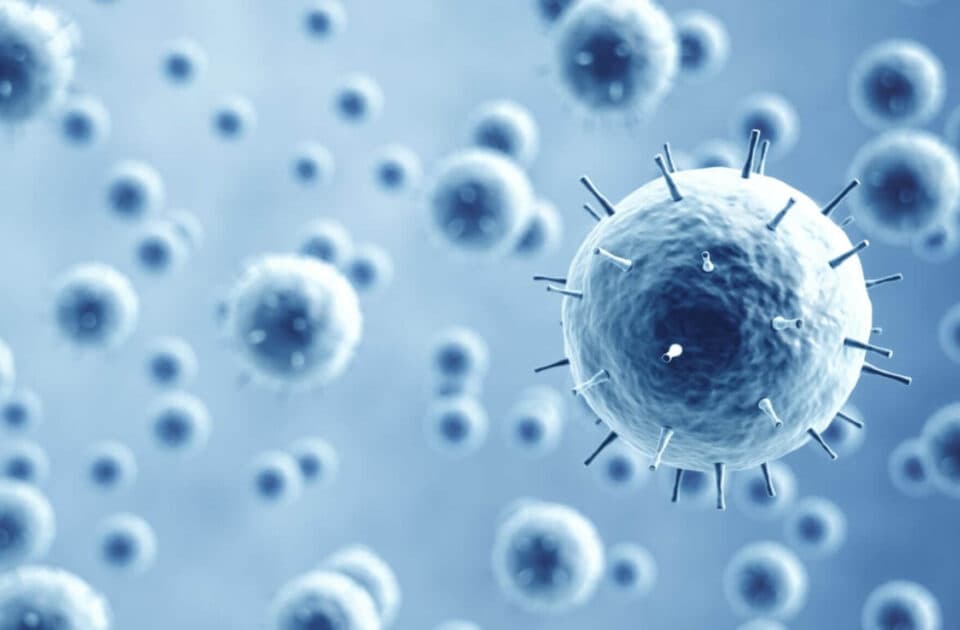 Rotia Hygiene Company